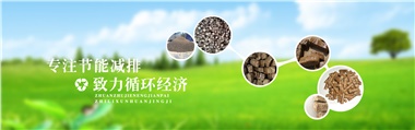 倪維斗院士：通過(guò)技術(shù)創(chuàng)新，大力發(fā)展超級(jí)能源生物質(zhì)燃料